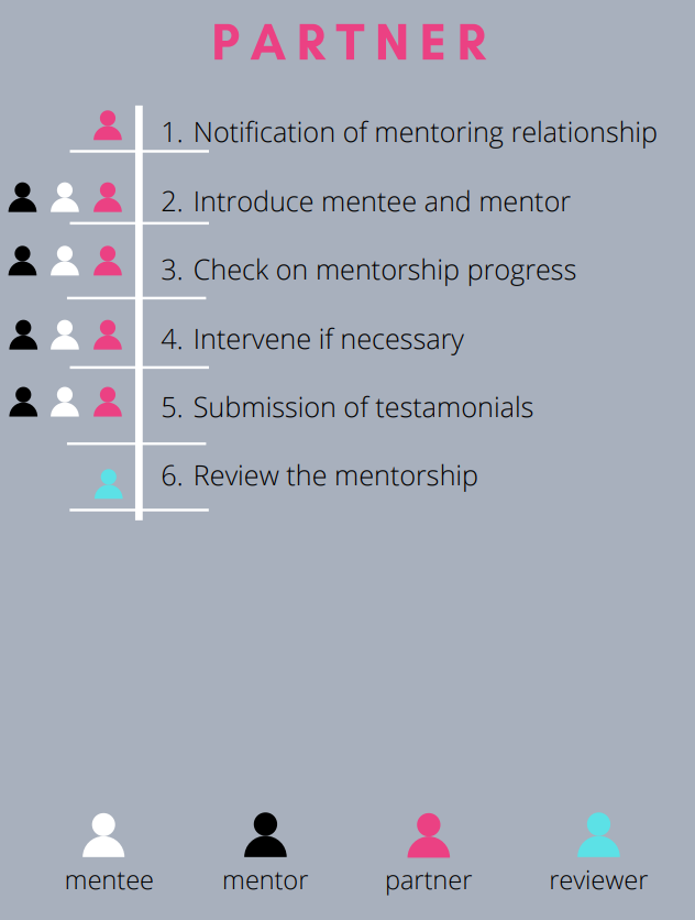 stages of the mentoring journey carried out by the partner