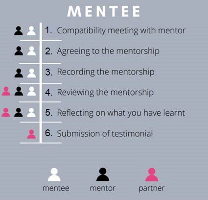 six stages of the mentoring scheme