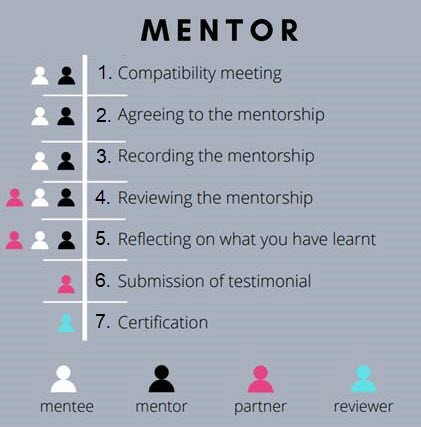 mentor journey